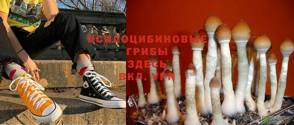крисы Балабаново